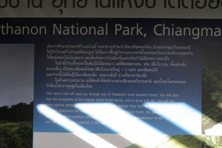 กิ่วแม่ปาน (เส้นทางเดินศึกษาธรรมชาติ) ดอยอินทนนท์ เชียงใหม่